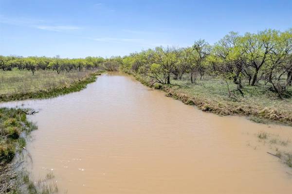 TBD FM 568, Coleman, TX 76834