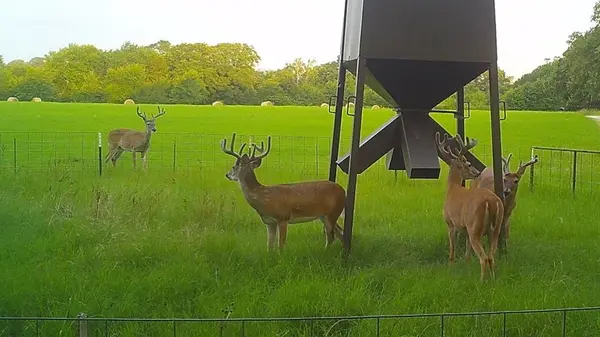 321 Private Road 6815, Eustace, TX 75124