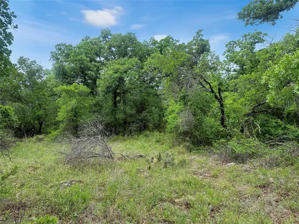 TBD Comanche Moon Drive, Mingus, TX 76463