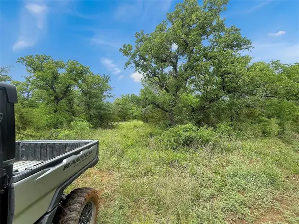 TBD Comanche Moon Drive, Mingus, TX 76463