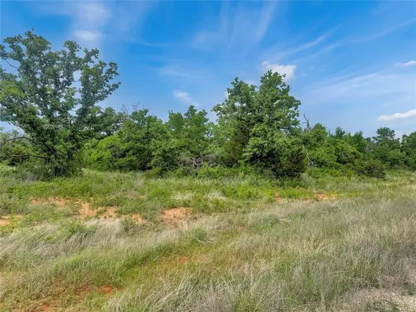 TBD Comanche Moon Drive, Mingus, TX 76463