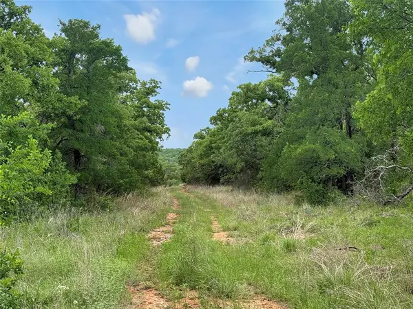 TBD Tenbears CT, Mingus, TX 76463