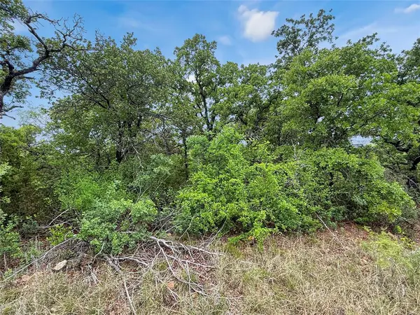 TBD Tenbears CT, Mingus, TX 76463