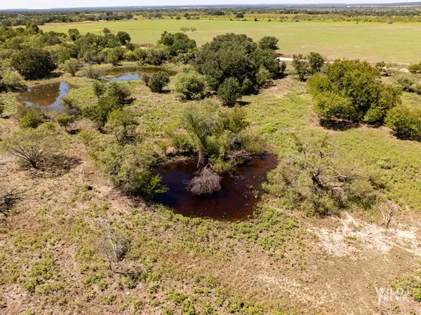 TBD County Road 428, Rising Star, TX 76471