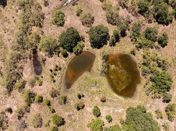 TBD County Road 428, Rising Star, TX 76471