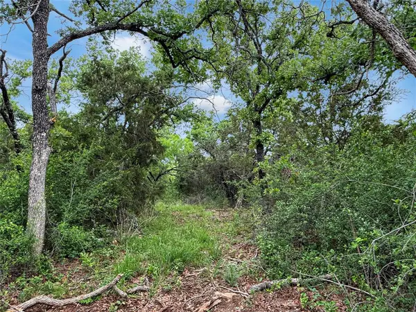 TBD Hoahway Drive, Mingus, TX 76463