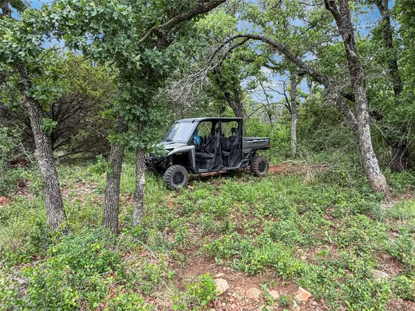 TBD Hoahway Drive, Mingus, TX 76463