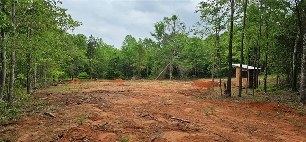 TBD VZ County Road 4814, Ben Wheeler, TX 75754