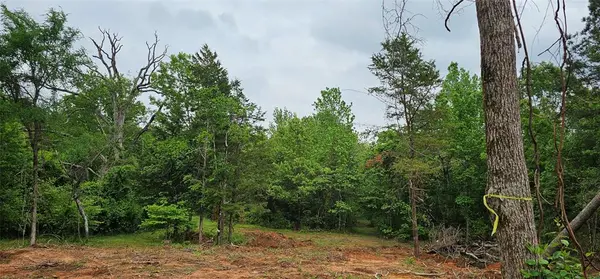 TBD VZ County Road 4814, Ben Wheeler, TX 75754