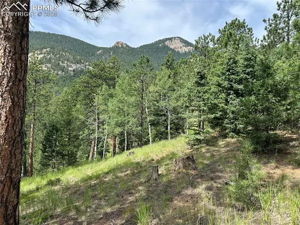 116 Happy Valley RD, Manitou Springs, CO 80829