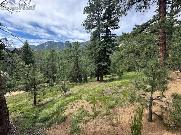 116 Happy Valley RD, Manitou Springs, CO 80829