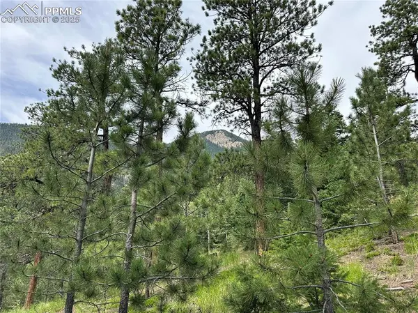 116 Happy Valley RD, Manitou Springs, CO 80829