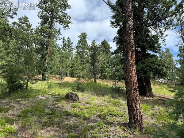 116 Happy Valley RD, Manitou Springs, CO 80829