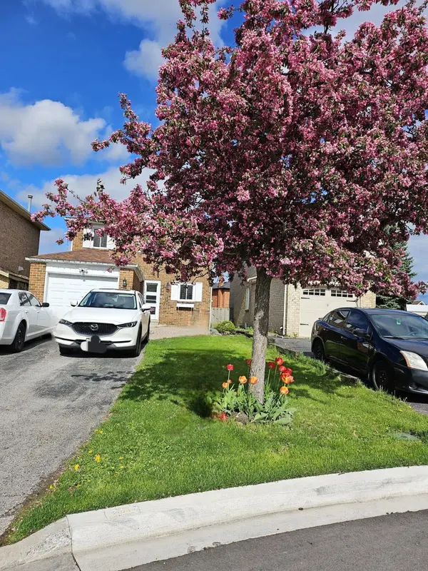 513 Alder CT, Pickering, ON L1V 4T2
