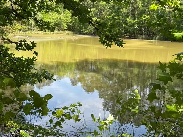 16649 County Road 4252D, Henderson, TX 75654