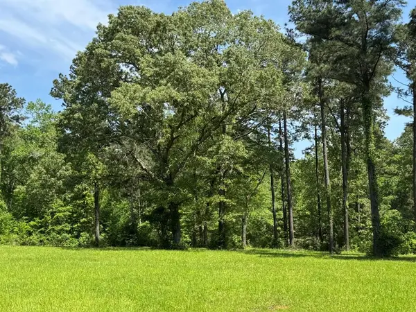 16649 County Road 4252D, Henderson, TX 75654