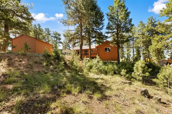 234 Wasatch LN, Florissant, CO 80816