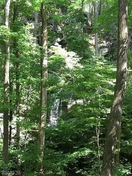 8 Cub Lake Rd, Byram Twp., NJ 07821