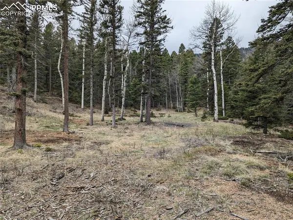 146 Waterfall LOOP, Manitou Springs, CO 80829