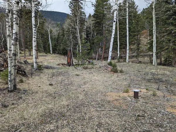 146 Waterfall LOOP, Manitou Springs, CO 80829