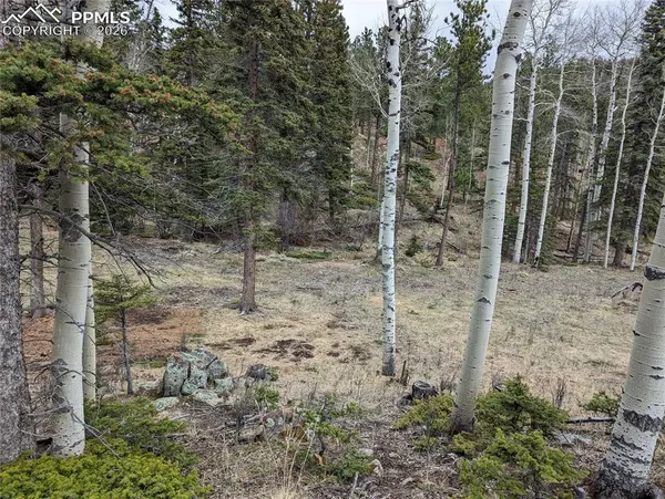 146 Waterfall LOOP, Manitou Springs, CO 80829