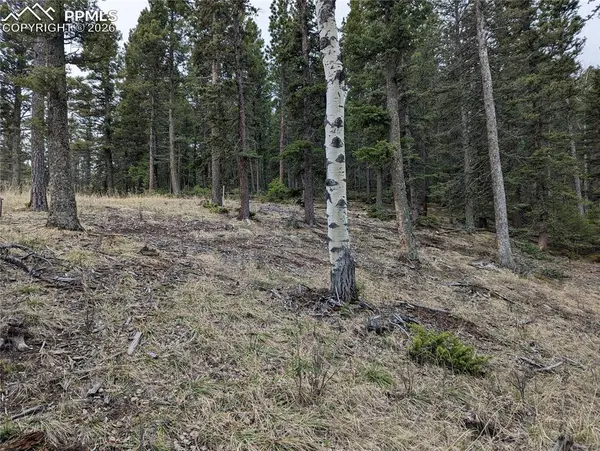 146 Waterfall LOOP, Manitou Springs, CO 80829