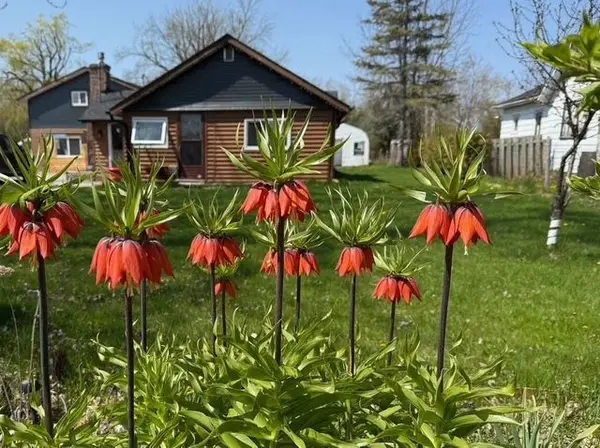 31474 Lakeridge RD, Georgina, ON L0E 1N0