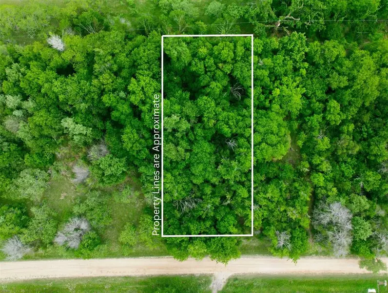 TBD Melondale Drive, Elm Mott, TX 76640