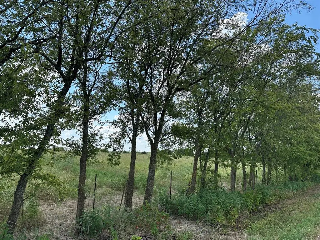 Lot 3 Rutledge Road, Whitewright, TX 75491