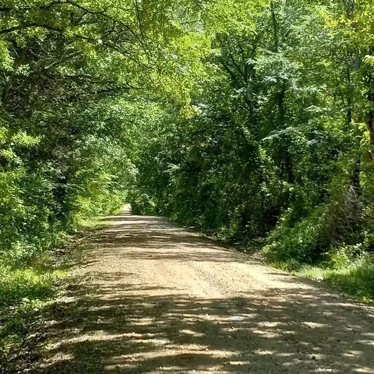 32 Acres County Road 2425, Como, TX 75431