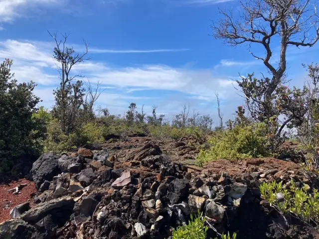 92-2620 MAHIMAHI DR, Ocean View, HI 96737