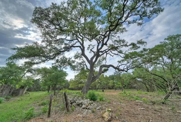 11916 Jim Bridger Drive, Austin, TX 78737