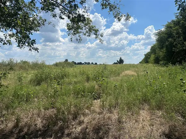 Lot 3 Rutledge Road, Whitewright, TX 75491