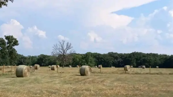 32 Acres County Road 2425, Como, TX 75431