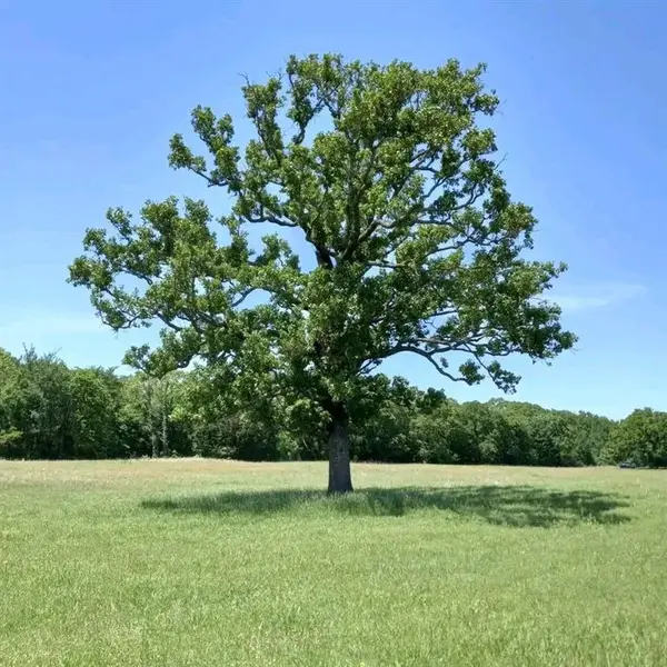 32 Acres County Road 2425, Como, TX 75431