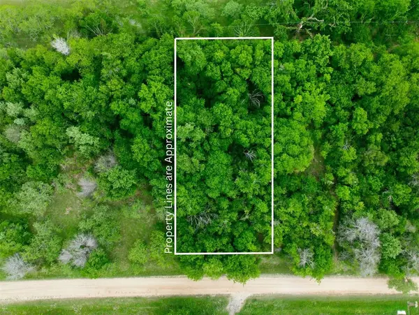 TBD Melondale Drive, Elm Mott, TX 76640