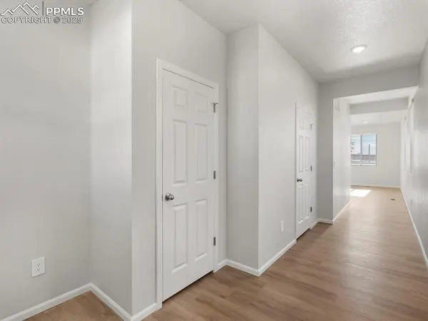 11379 Pikeminnow PL, Colorado Springs, CO 80925