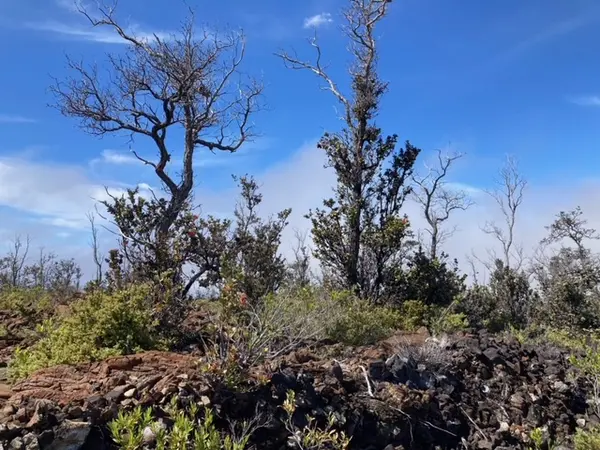 92-2620 MAHIMAHI DR, Ocean View, HI 96737