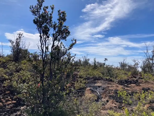 92-2620 MAHIMAHI DR, Ocean View, HI 96737