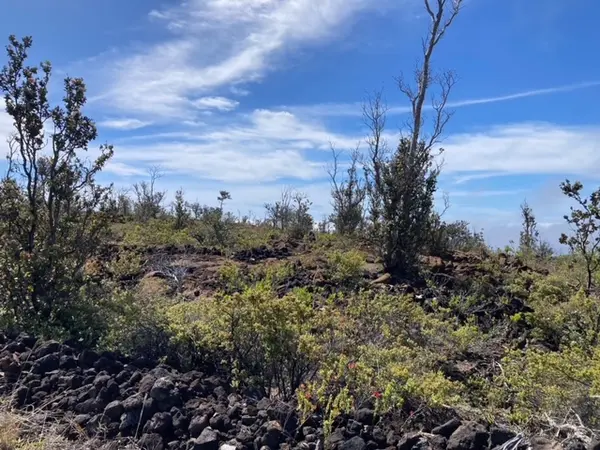 92-2620 MAHIMAHI DR, Ocean View, HI 96737