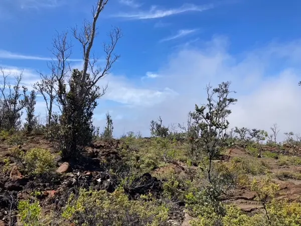 92-2620 MAHIMAHI DR, Ocean View, HI 96737