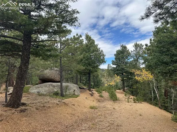 316 Summit Ridge RD, Manitou Springs, CO 80829