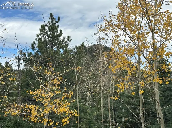 316 Summit Ridge RD, Manitou Springs, CO 80829