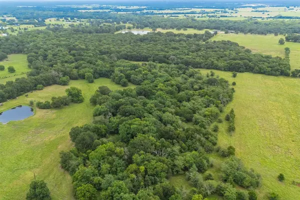 41 a Cr-4209, Campbell, TX 75422