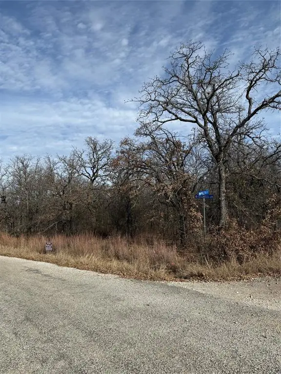 0 Miller Court, Runaway Bay, TX 76426