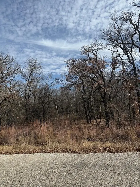 0 Miller Court, Runaway Bay, TX 76426