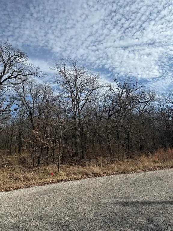 0 Miller Court, Runaway Bay, TX 76426