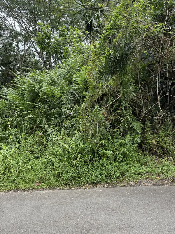 PAHOA, Pahoa, HI 96778