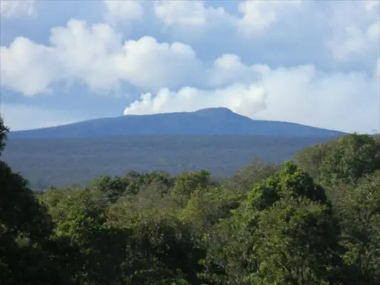 18-4480 MAKAALA, Mountain View, HI 96771