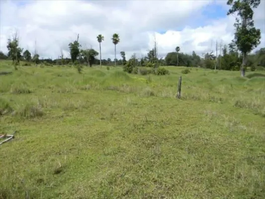 18-4480 MAKAALA, Mountain View, HI 96771